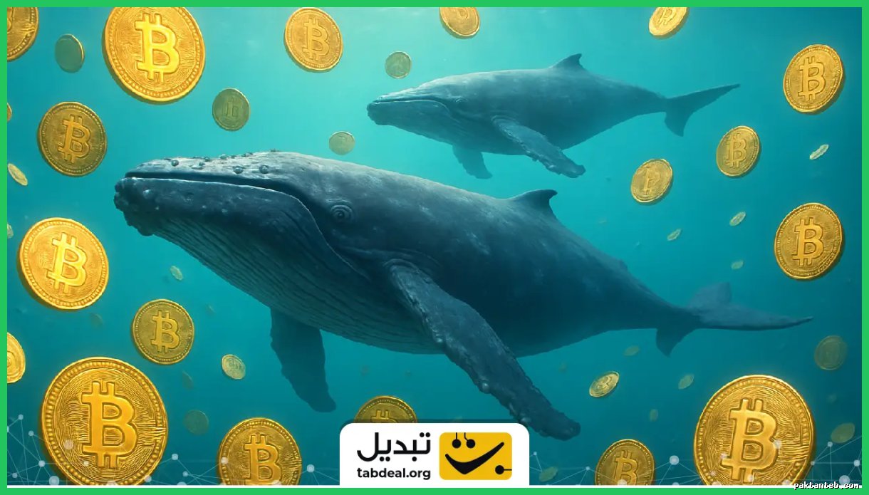 حفاظت نهنگ‌های بیت‌کوین از قیمت در محدوده ۸۰٬۰۰۰ تا ۸۵٬۰۰۰ دلار