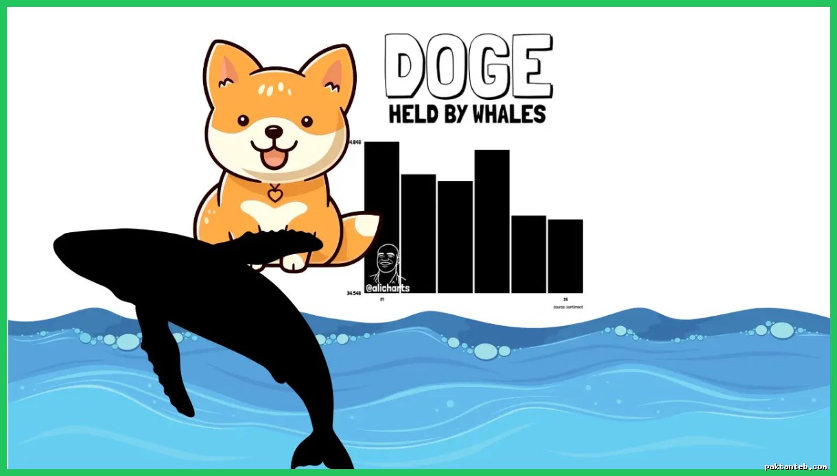 دلایل ریزش قیمت دوج‌کوین در اواخر سال ۲۰۲۵