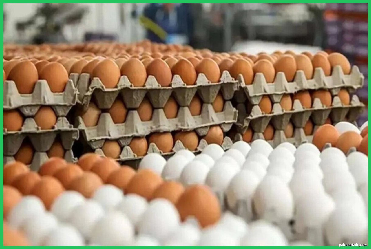 افزایش قیمت تخم‌مرغ به ۳۶۰-۴۲۰ هزار تومان پس از حذف ارز ترجیحی