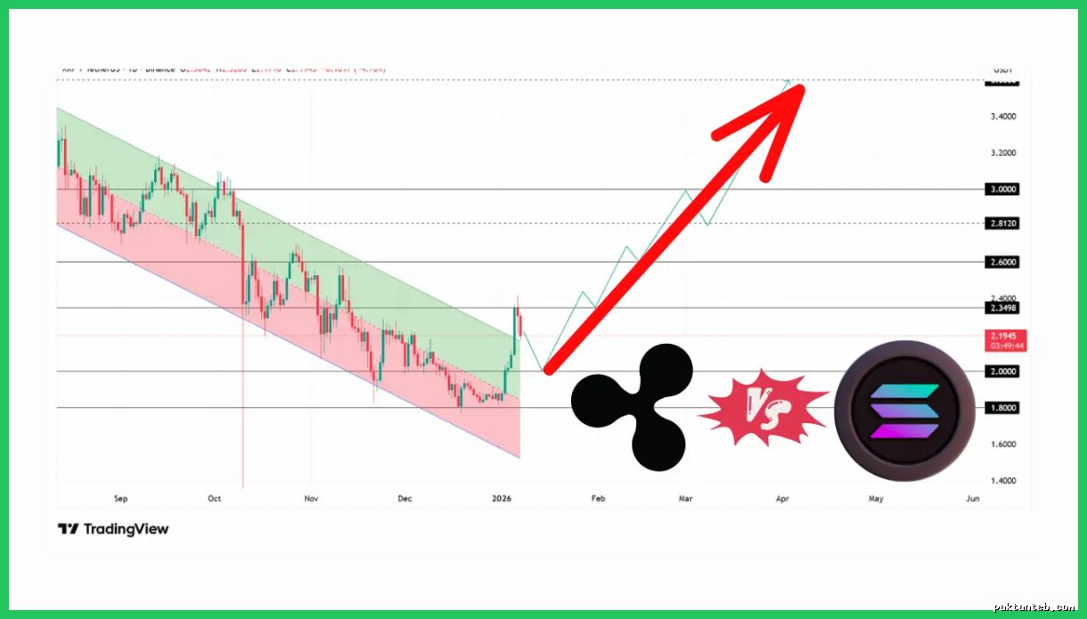 نبرد بزرگان؛ ریپل بخریم یا سولانا؟