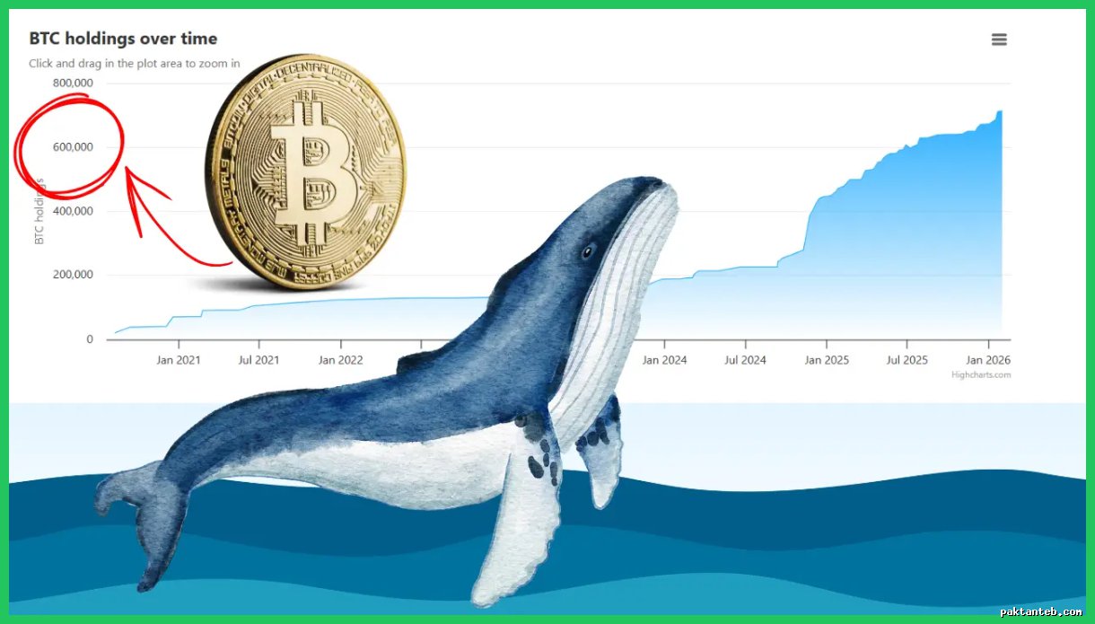 نهنگ شناخته‌شده در کف قیمت، ۷۵ میلیون دلار از این ارز دیجیتال خرید